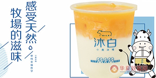 沐白加盟